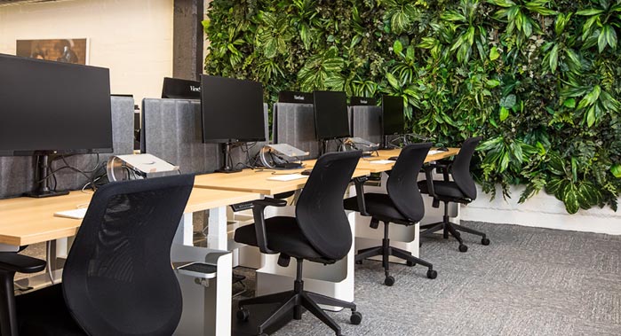 Plant wall beside a row of computer desks and chairs.